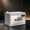 Amaron Quanta 12V 7Ah SMF UPS - Emergency Battery